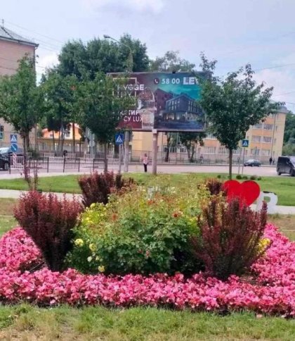 У Львові висадили нові квіткові композиції (фото)