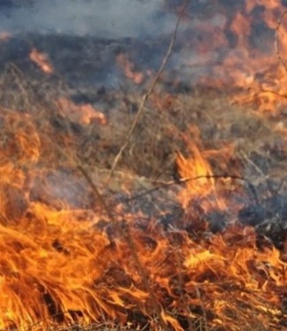 У Львові попереджають про пожежну небезпеку упродовж тижня