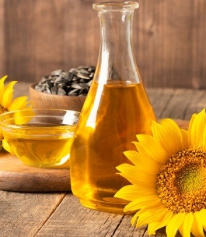 Єврокомісія заборонить імпорт української соняшникової олії