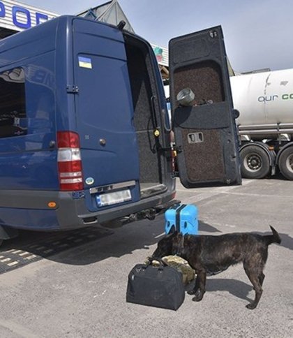 З початку року на західних кордонах затримали майже 1800 порушників