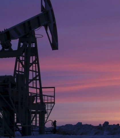 Державна служба геології та надр України продала на електронному аукціоні Острівську нафтогазоносну площу