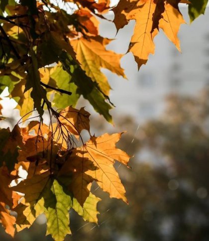 Синоптики розповіли про погоду на вихідних у Львові та області