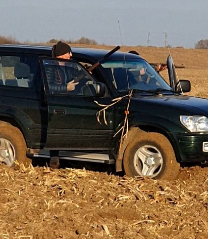 Вбивство кабанів на Львівщині