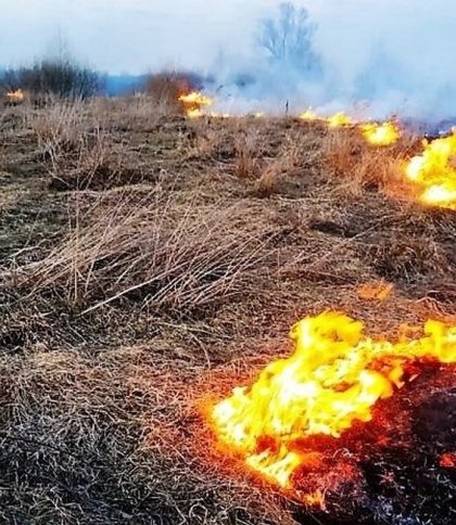Через пожежі сухостою на Львівщині згоріло майже 30 тисяч кв.м