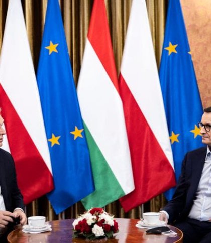 Польща та Угорщина виступили проти резолюції про підтримку біженців: у чому причина