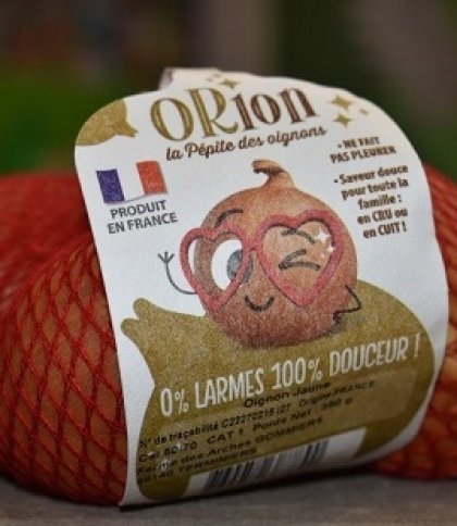 Тепер жодних сліз: у Франції вивели новий сорт цибулі без запаху