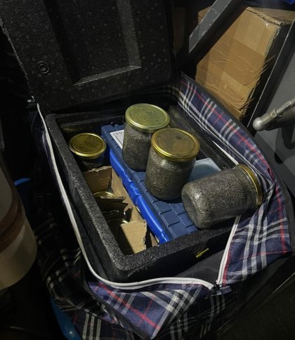 Волинянин спробував незаконно завезти в Україну 15 кг чорної ікри