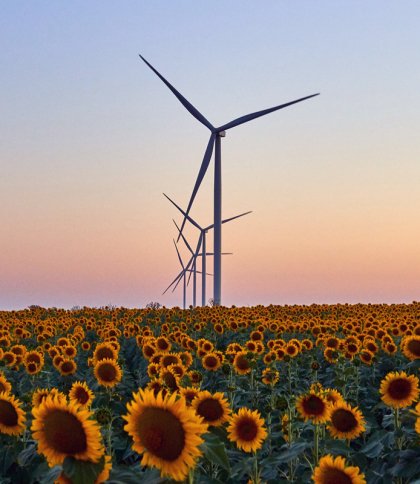 Лихоманка у вітроенергетиці: які виникли ризики для перспективного ринку