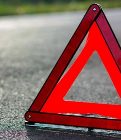 Нетверезого водія «зупинив» дорожній знак: у Львові сталося ДТП