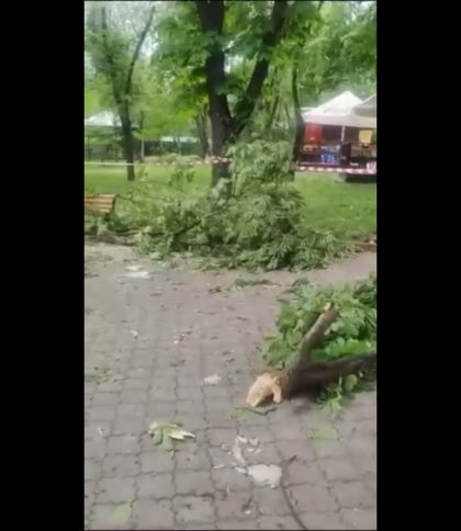 Кличко показав наслідки російської ракетної атаки на київський зоопарк (відео)