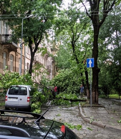 Міська рада Львова розповіла про наслідки вчорашньої негоди