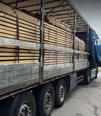 Підприємець з Львівщини намагався незаконно продати дубову деревину в Європу