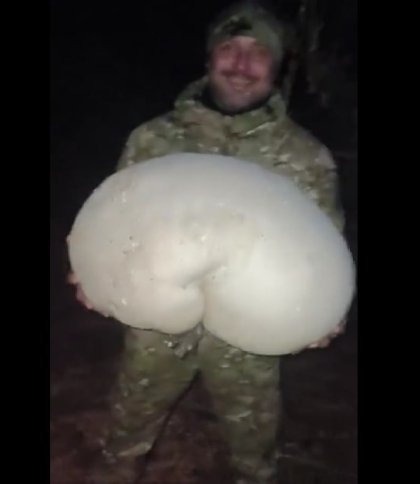«Пішли хлопці в розвідку — найшли гриба! Ото буде що їсти!»: військові ЗСУ знайшли велетенського дощовика (відео)