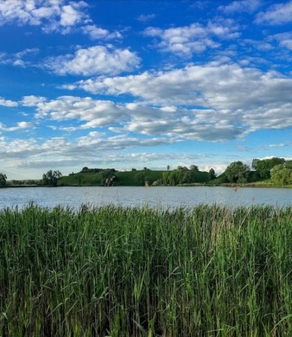 Перевірка якості води у водоймах Львівщини: у яких озерах було небезпечно купатися