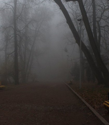 Погода у Львові та області 5 листопада: хмарно та туман