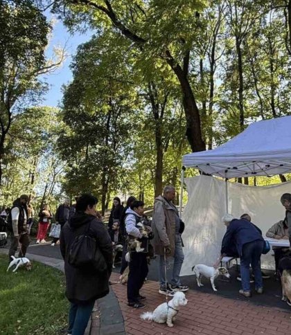 У Львові безплатно вакцинуватимуть тварин від сказу в одному з парків