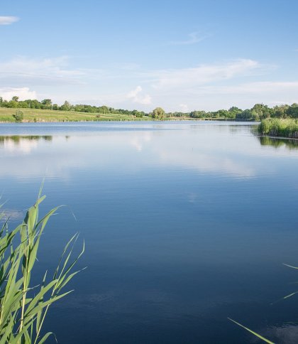 На Львівщині 35-річна жінка затонула в ставку
