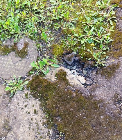 У подвір’ї утворюється провалля: львів'яни просять замінити каналізаційні труби
