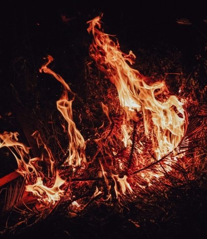 На Львівщині за добу рятувальники ліквідували 6 пожеж сухої трави