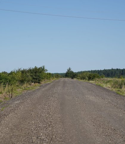 Дорога
