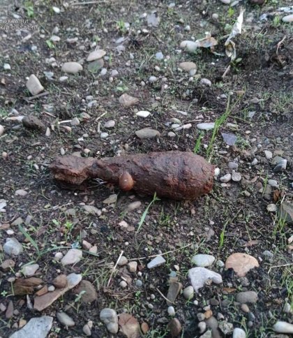 У селі Стрийського району під час прогулянки знайшли застарілий боєприпас