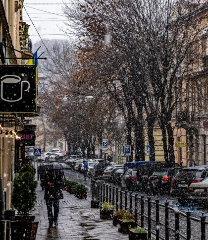 Льодяний дощ та лавини: прогноз погоди на Львівщині найближчими днями