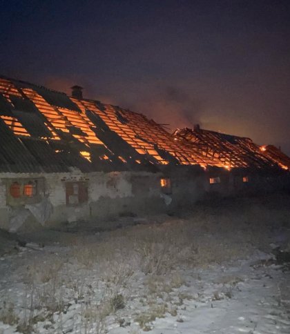 На Харківщині внаслідок обстрілу загорілася ферма з тваринами