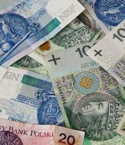 На Львівщині чоловік вкрав у жінки 300 злотих, схованих у мікрохвильовці, та витратив їх на таксі