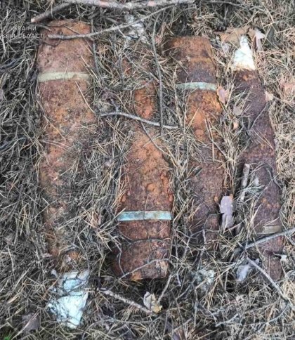 На Львівщині знайшли декілька артилерійських снарядів