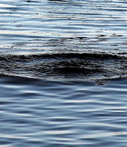 На Львівщині в озері потонув 41-річний чоловік
