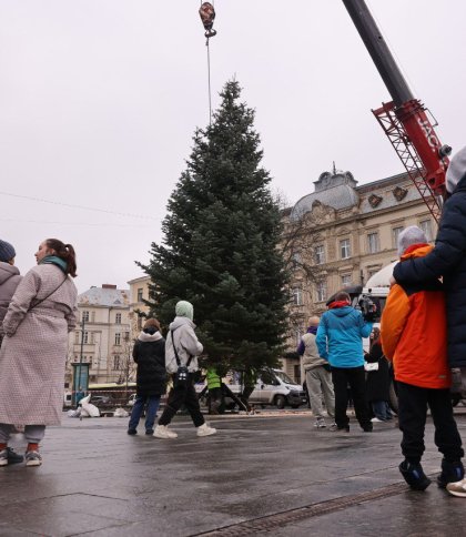 В центрі Львова встановили головну різдвяну ялинку
