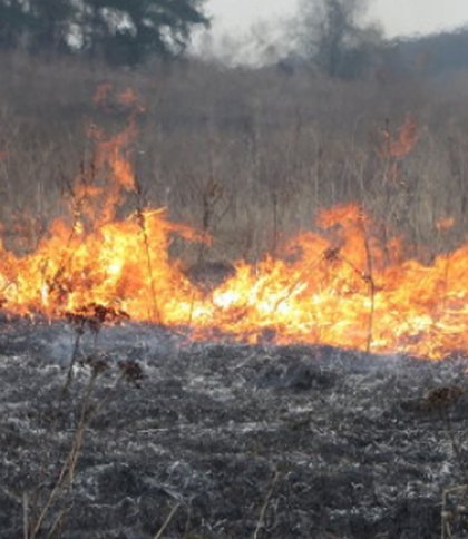 17 пожеж сухої трави на Львівщині ліквідували надзвичайники