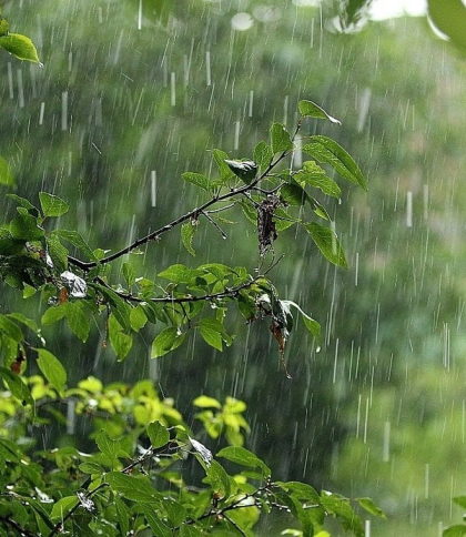 У Львові та області на 28 липня прогнозують дощі та град