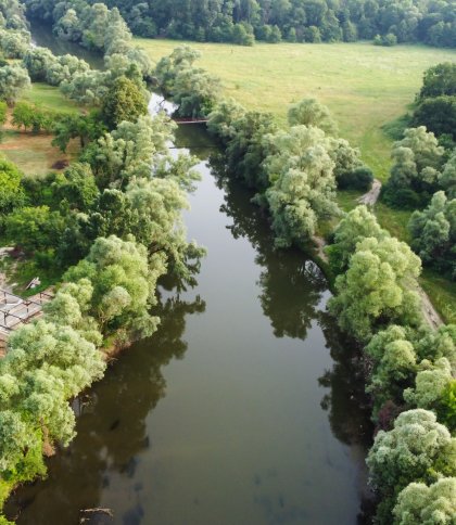 Де найбільш забруднені річки на Львівщині: результати за серпень