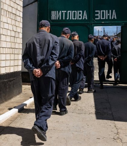 775 ув'язнених приєдналися до ЗСУ для захисту України