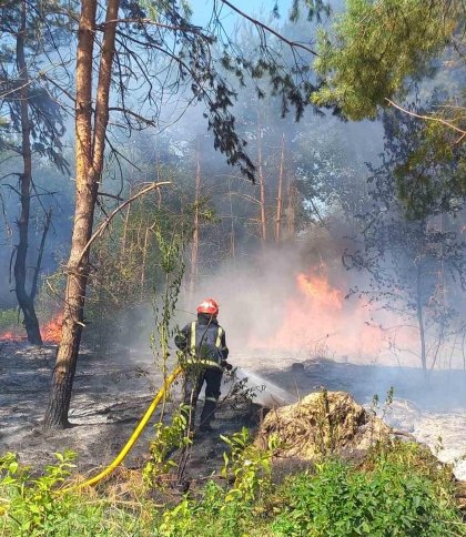 На Львівщині рятувальники 29 разів виїжджали на пожежі: згоріло 2 га сухої трави