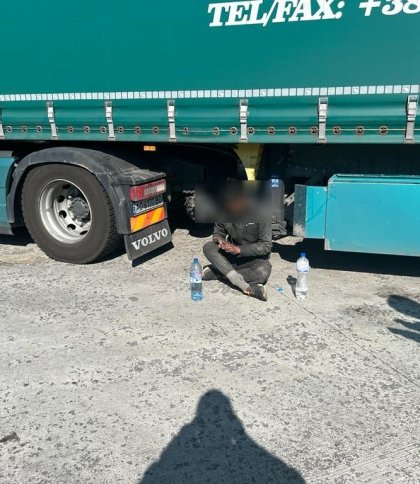 Прикордонники показали відео, як пес знаходить нелегала, який подорожував під дном вантажівки