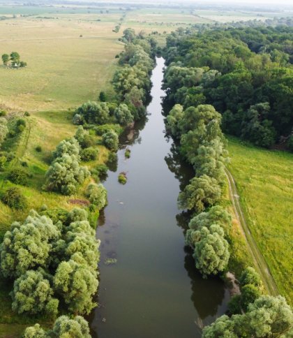 Найбільш забруднені річки Львівщини: перелік