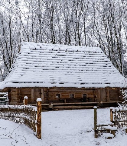 Пожежа у Шевченківському гаю: рятувальники висунули ще одну версію