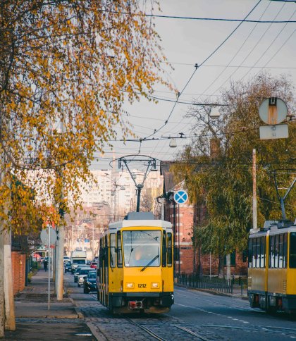 Водіїв попереджають про ускладнений рух на одній з вулиць Львова протягом двох днів