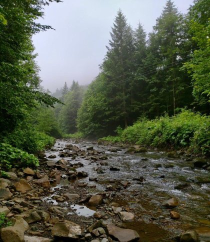 На річках Львівщини рівень води підвищився до 16 сантиметрів
