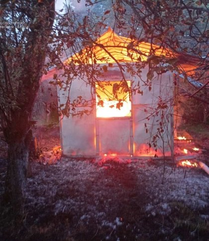 Біля Львова пожежа знищила дві дачі