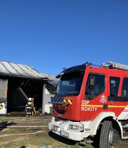Українця у Польщі жорстоко вбив та намагався спалити на фермі працедавець