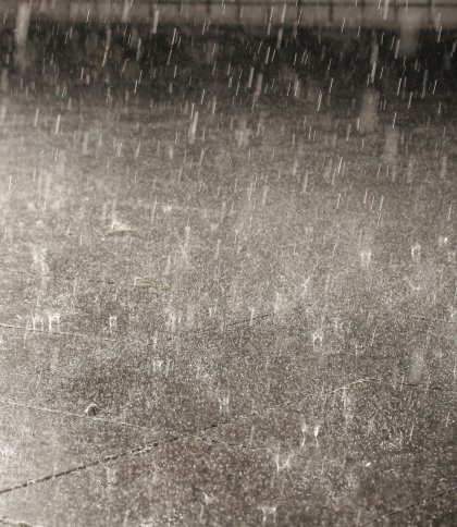 Погода у Львові та області 25 травня: дощі, туман і прохолода