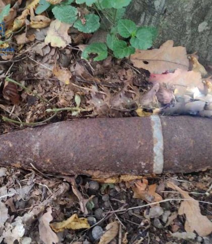 Поблизу Львова грибники знайшли артилерійський снаряд часів Другої світової війни