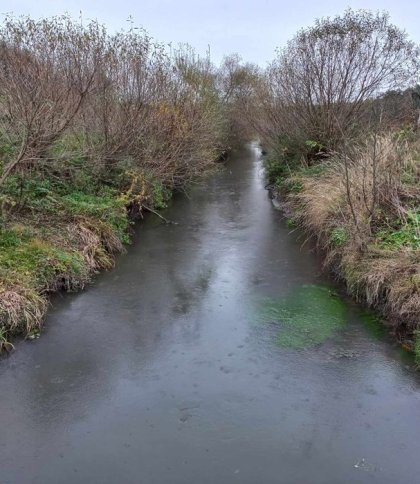 У річці біля Львова знайшли тіло 65-річного чоловіка