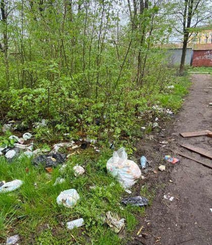 Міський туалет і купа шприців: біля однієї зі шкіл Львівщини утворилось сміттєзвалище