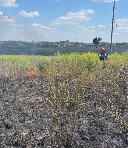 Рятувальники погасили 7 пожеж сухостою за добу на Львівщині