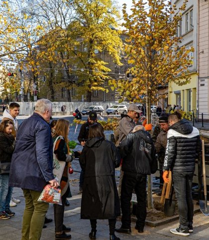 У Львові висадили понад 30 дерев, які закупили коштом благодійників