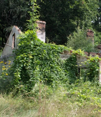 Зруйновану будівлю геохімічної лабораторії на Львівщині продали за 400 тис. грн